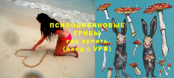 тгк Осинники