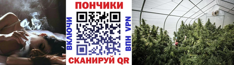 Купить закладки  Раменское  МАРИХУАНА OG Kush 
